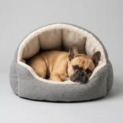 French Bulldog in plush semi-enclosed bed