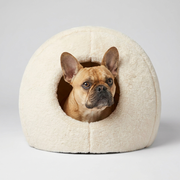 French Bulldog peeking out of winter dog house bed