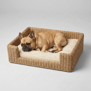 French Bulldog in square woven bed