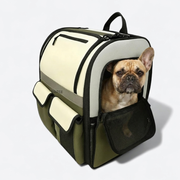 French Bulldog in waterproof backpack carrier