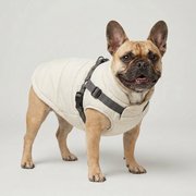 French Bulldog in off-white down jacket