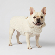 French Bulldog in off-white quilted coat