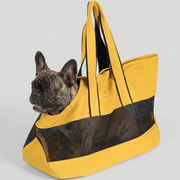 French Bulldog in yellow mesh ventilation carrier