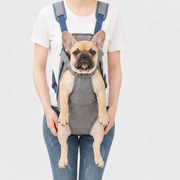 French Bulldog in gray adjustable quilted backpack carrier