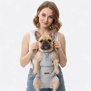 French Bulldog in light gray outdoor travel backpack carrier