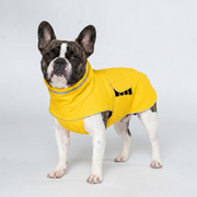 French Bulldog reflective waterproof jacket