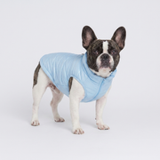 French Bulldog reflective winter vest