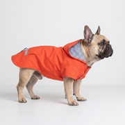 French Bulldog hooded raincoat