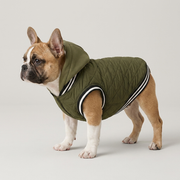 French Bulldog hooded cotton jacket comfortable coat