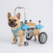 French Bulldog wheelchair harness mobility support
