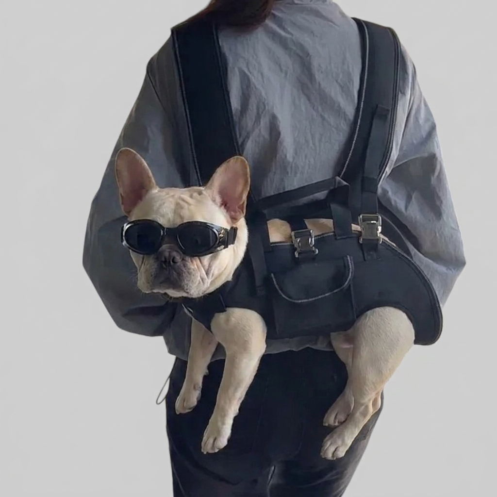 French Bulldog hands-free multifunctional carrier backpack