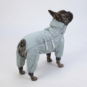 French Bulldog full-body waterproof hooded rain jacket