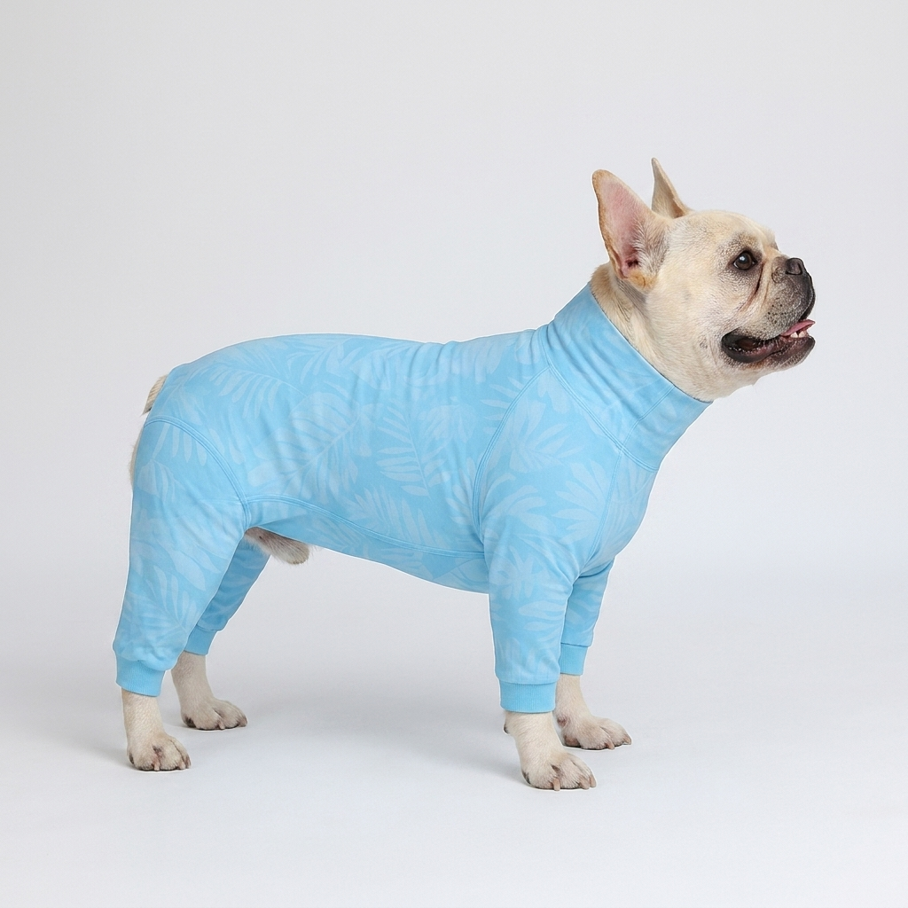 French Bulldog water-repellent pajamas splash-ready suit