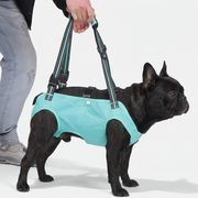 French Bulldog lift harness padded handle support