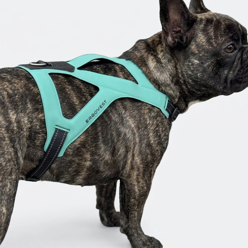 French Bulldog ergonomic waterproof leather chest harness