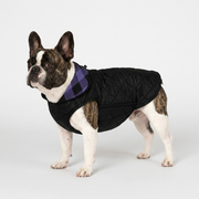 French Bulldog double-sided windproof plaid coat