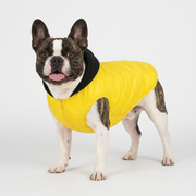 French Bulldog spot embossed hooded zip-up coat