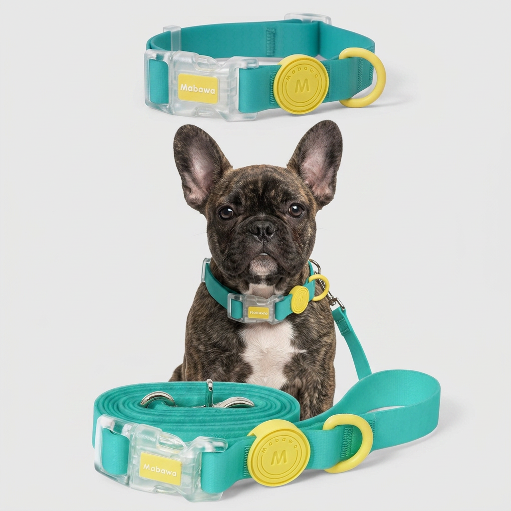 French Bulldog waterproof collar and leash set