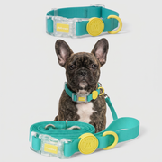 French Bulldog waterproof collar and leash set