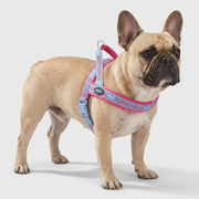 French Bulldog adjustable mesh breathable harness