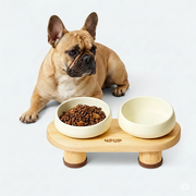 French Bulldog ceramic double bowls elevated feeder stand