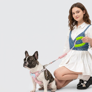 French Bulldog plush toy harness pink
