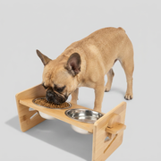 French Bulldog elevated food bowl bamboo stand feeder