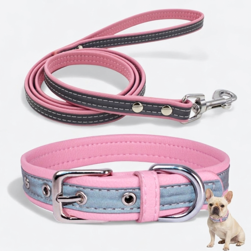 French Bulldog reflective collar leash set purple