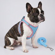 French Bulldog mesh reflective harness leash set orange-blue