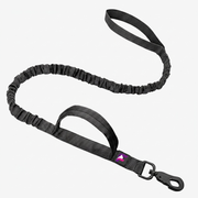 French Bulldog Rover Tactical Leash