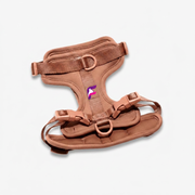 French Bulldog AdventurePro Harness