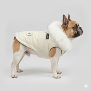 French Bulldog Luxury Faux Fur Hooded Coat