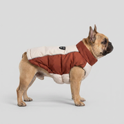 French Bulldog Ultra-Warm Puffer Vest