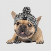 French Bulldog Windproof Woolen Winter Cap 1