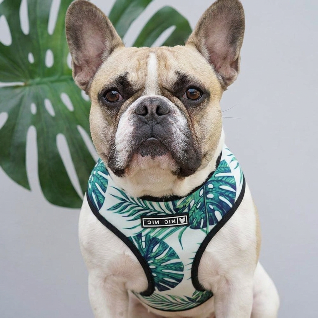 Floral French Bulldog Harness Leash Set 1