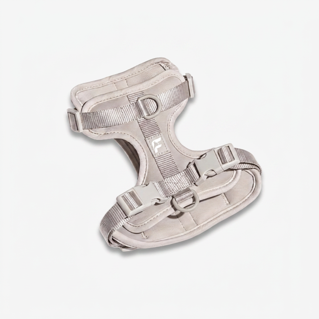 White dog harness with The Frenchie Shop logo, for French Bulldogs