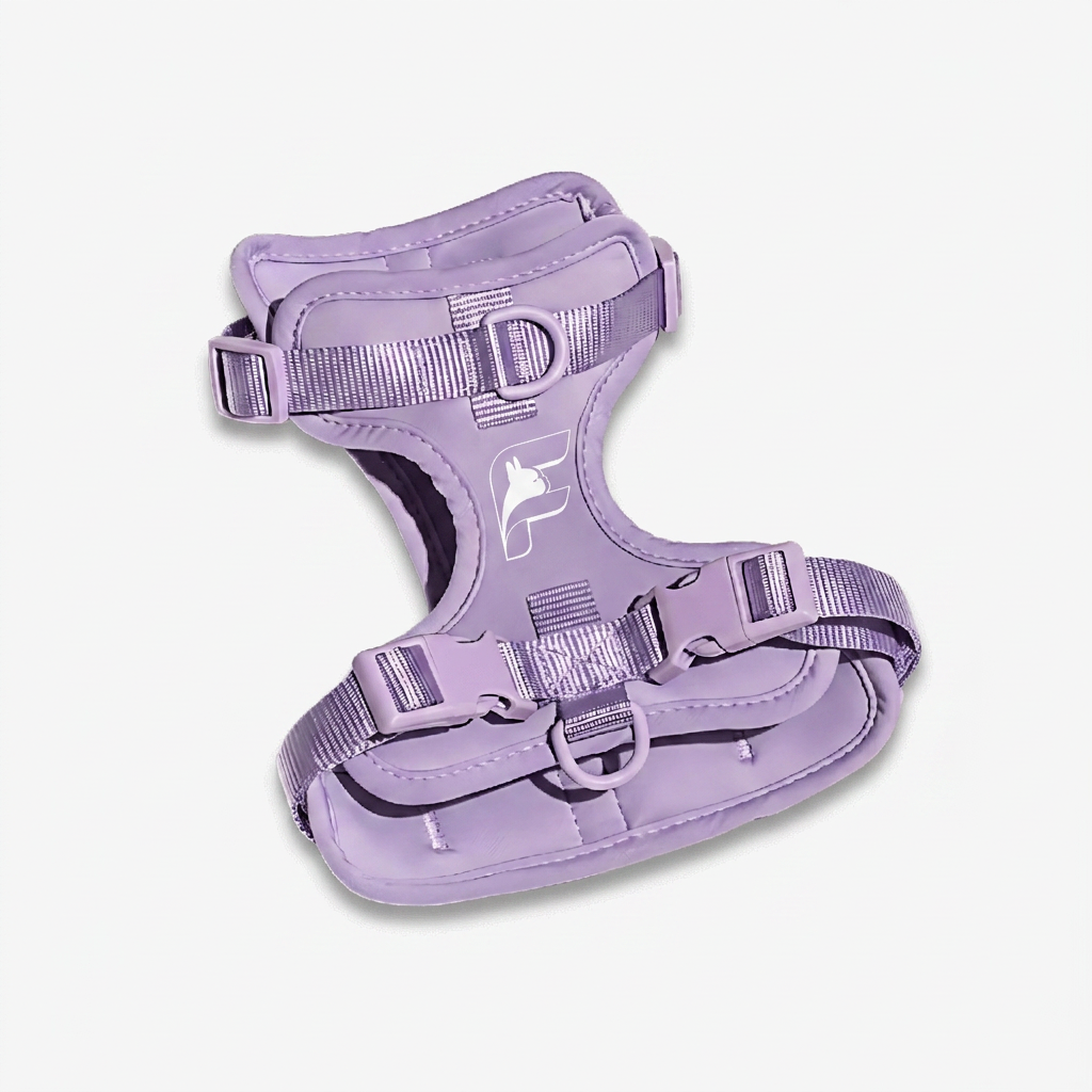 Purple dog harness with The Frenchie Shop logo, for French Bulldogs