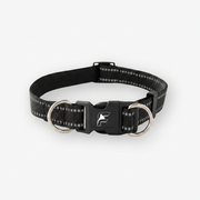 Black Surge collar for French Bulldogs with The Frenchie Shop logo