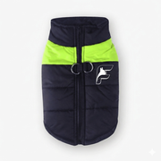 LED yellow high-visibility safety vest for French Bulldogs with The Frenchie Shop logo