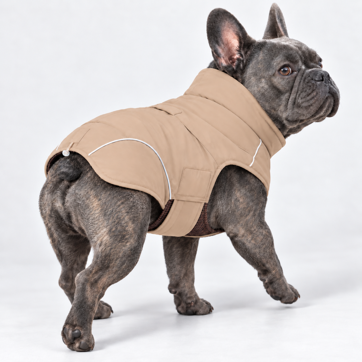 High-Neck Outdoor French Bulldog Winter Jacket — Beige product photo