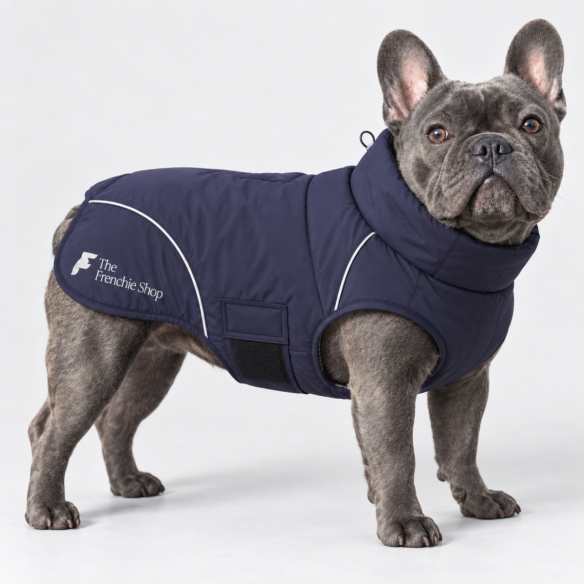 High-Neck Outdoor French Bulldog Winter Jacket — Blue product photo