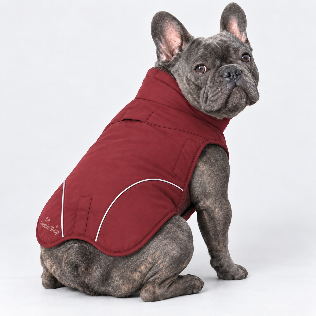 High-Neck Outdoor French Bulldog Winter Jacket — Burgundy product photo