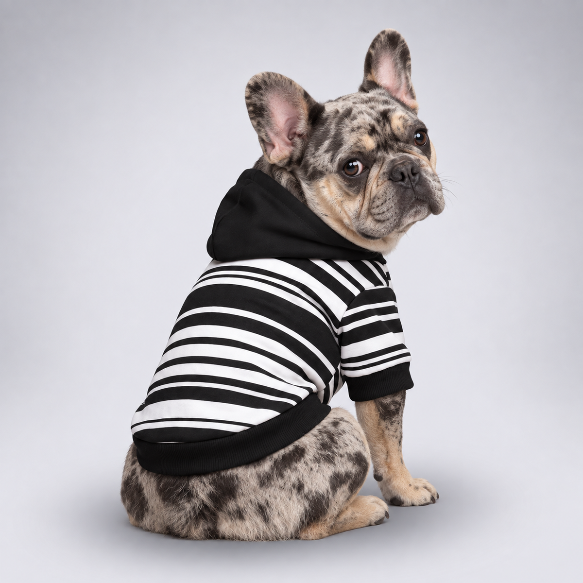 Classic Black & White Stripe Matching French Bulldog Hoodie — Frenchie matching look