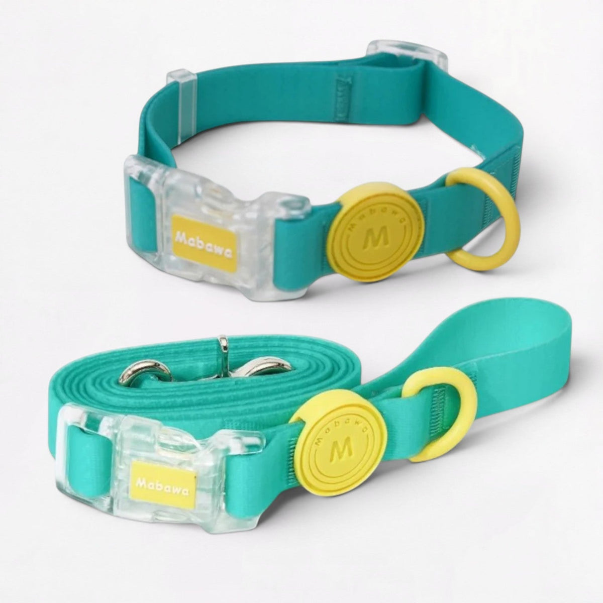 Silicone coated French Bulldog collar that stays soft around a short-coated neck