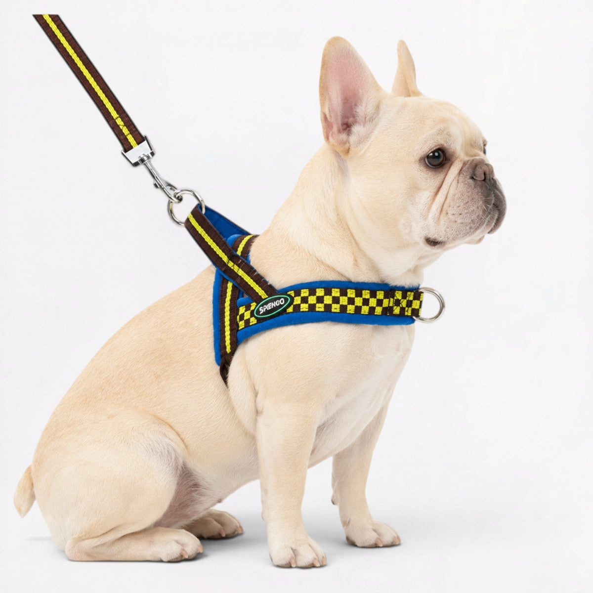 Checkered Frenchie harness with an arched handle across the back