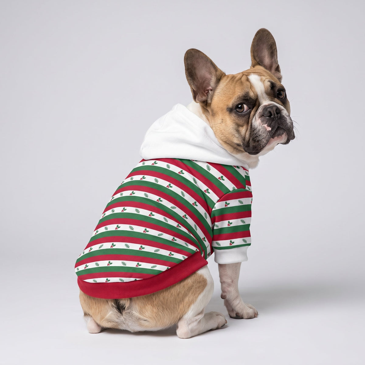 Holiday Holly Stripe Matching French Bulldog Hoodie — Frenchie matching look