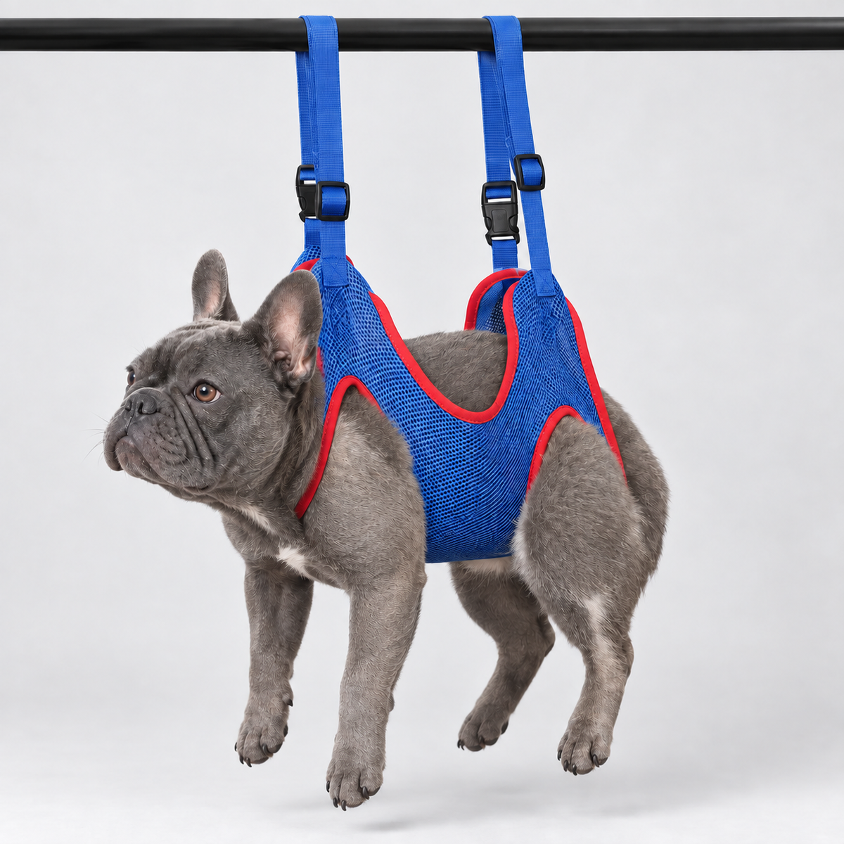 Mesh French Bulldog Grooming Hammock — product studio photo