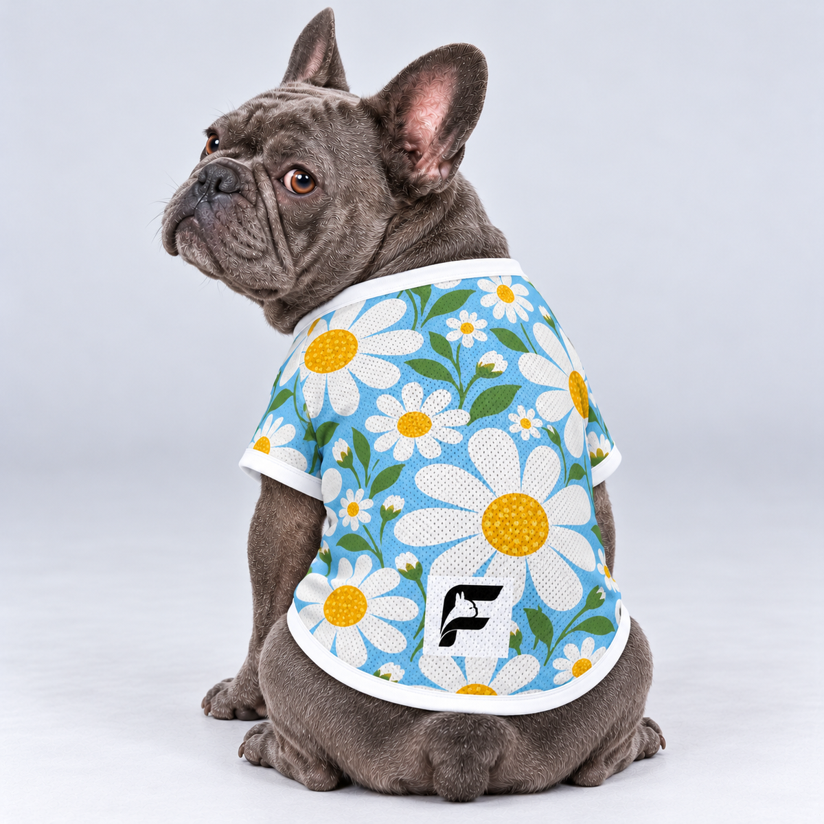 Daisy Breeze mesh dog shirt, back view on our Frenchie model with signature white-square logo