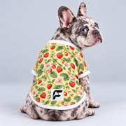 Strawberry Patch mesh dog shirt, back view on our Frenchie model with signature white-square logo