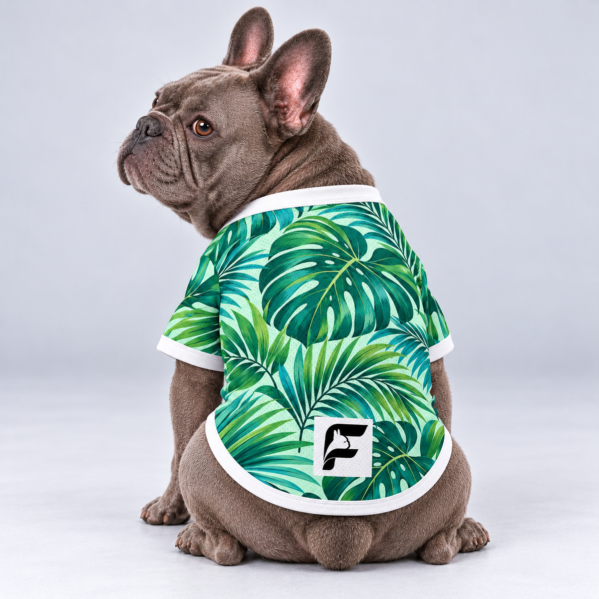 Tropical Palms mesh dog shirt, back view on our Frenchie model with signature white-square logo